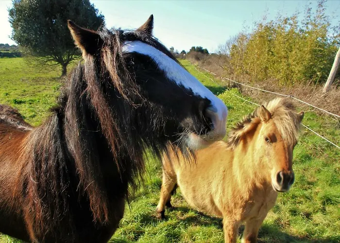 La De * Batz-sur-Mer