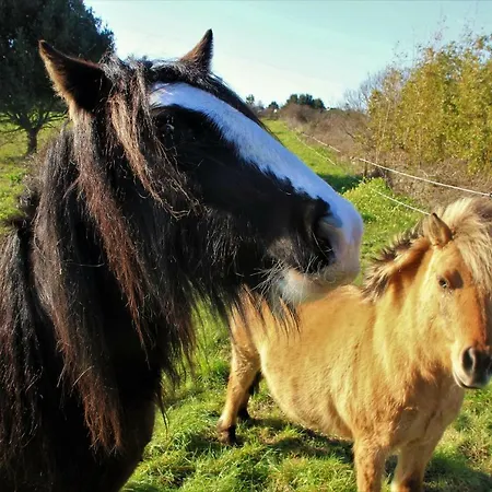 La De * Batz-sur-Mer